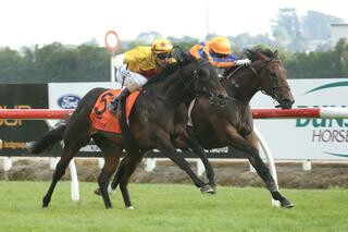 Sword Of Osman (NZ) collecting his third stakes win. Photo: Trish Dunell 